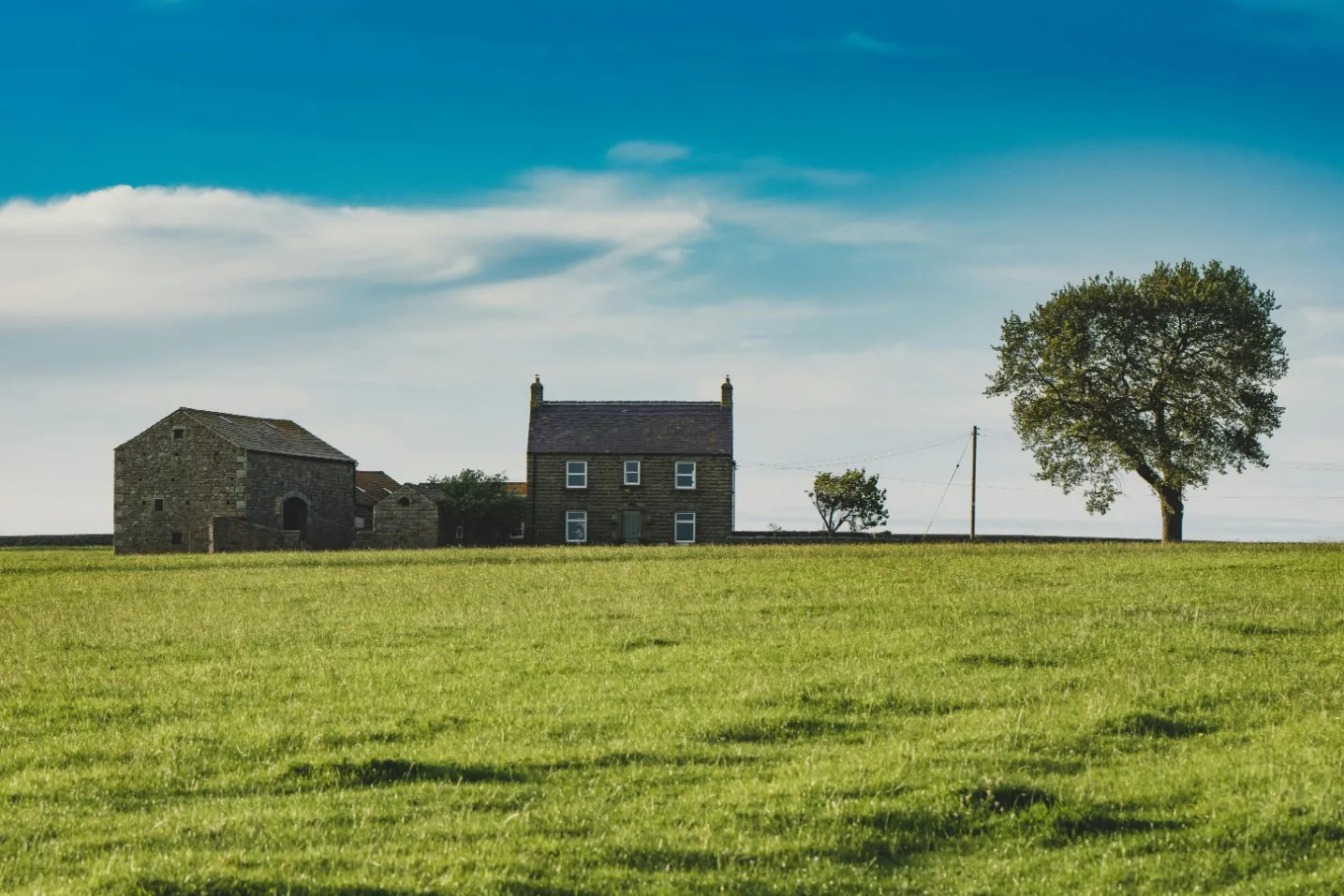 Harrogate Web Design Services